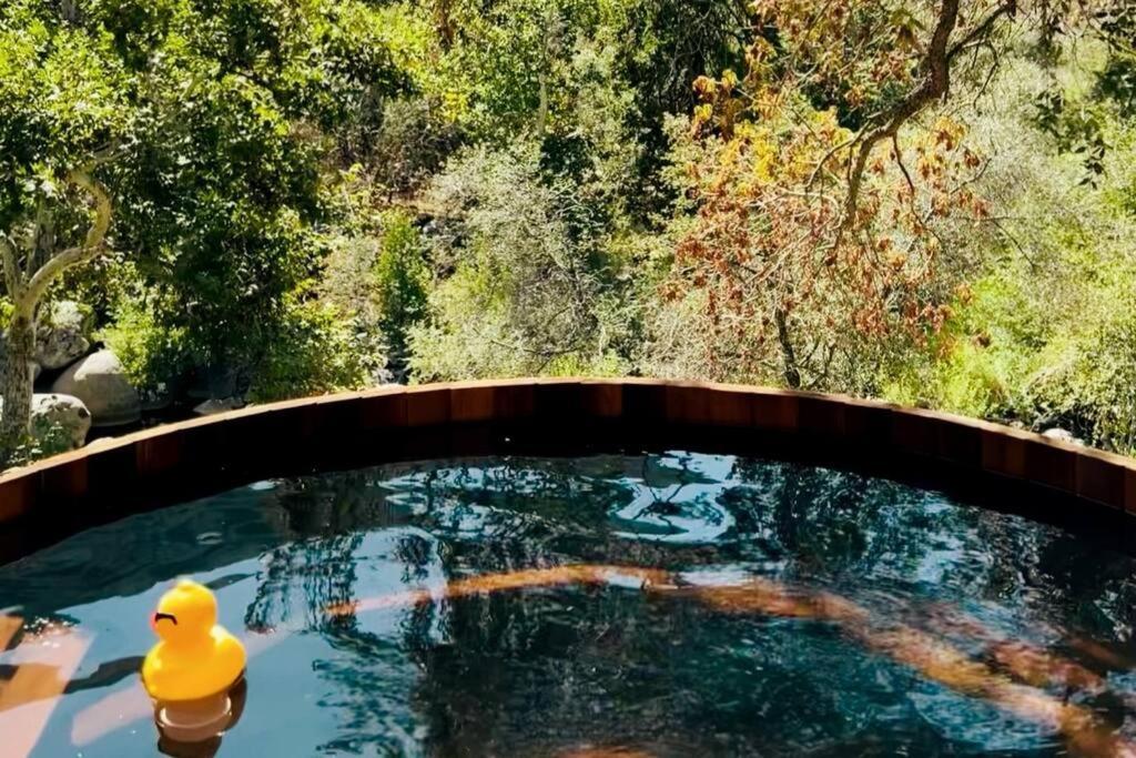 Paradise Ranch Inn- Limitless House Hot Tub,sauna * Three Rivers